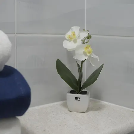 Sevilja 아파트 스플리트