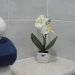 Sevilja Apartamento Split
